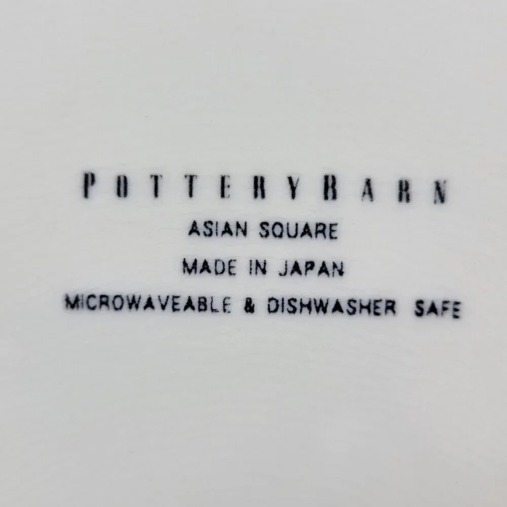 Pottery Barn Asian Square Putty DINNER PLATE 10 1/2